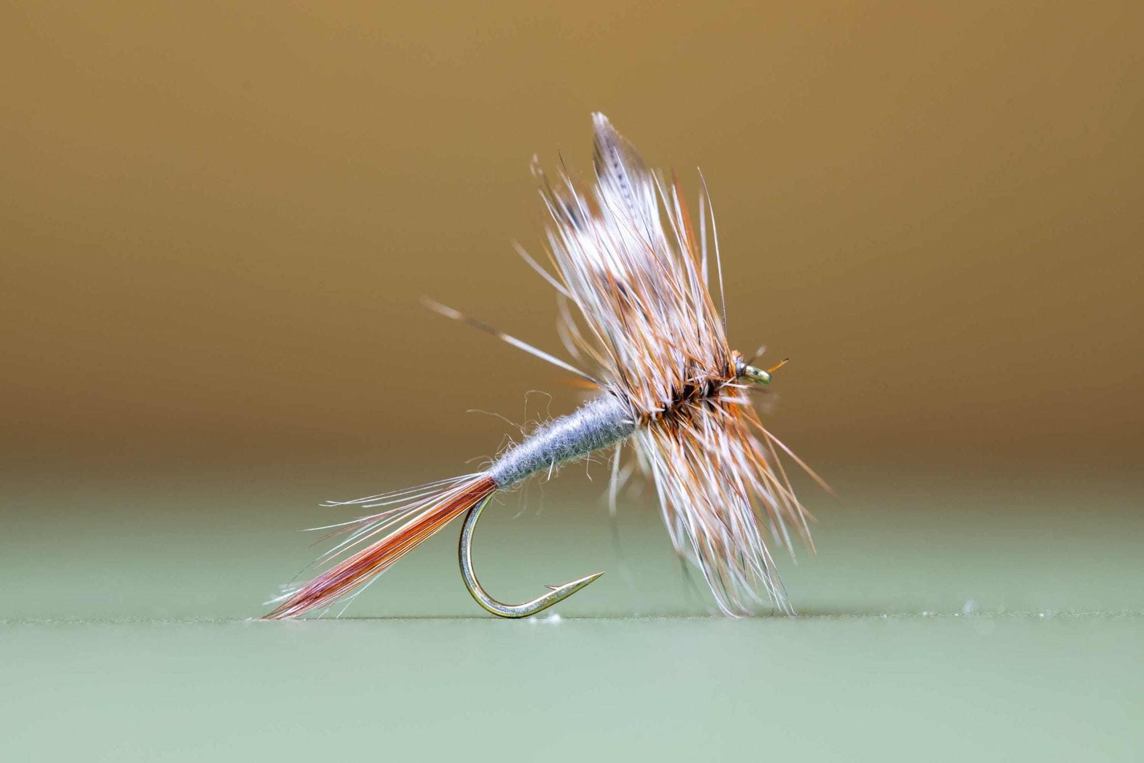 Adams Dry