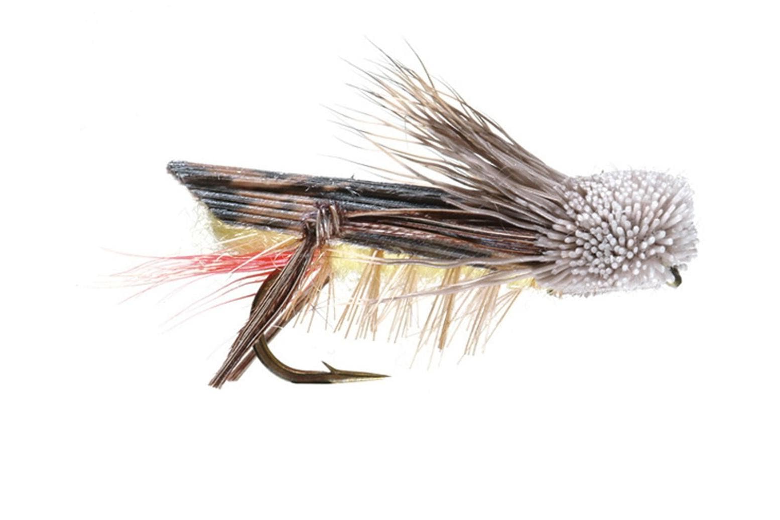 Dave's Hopper