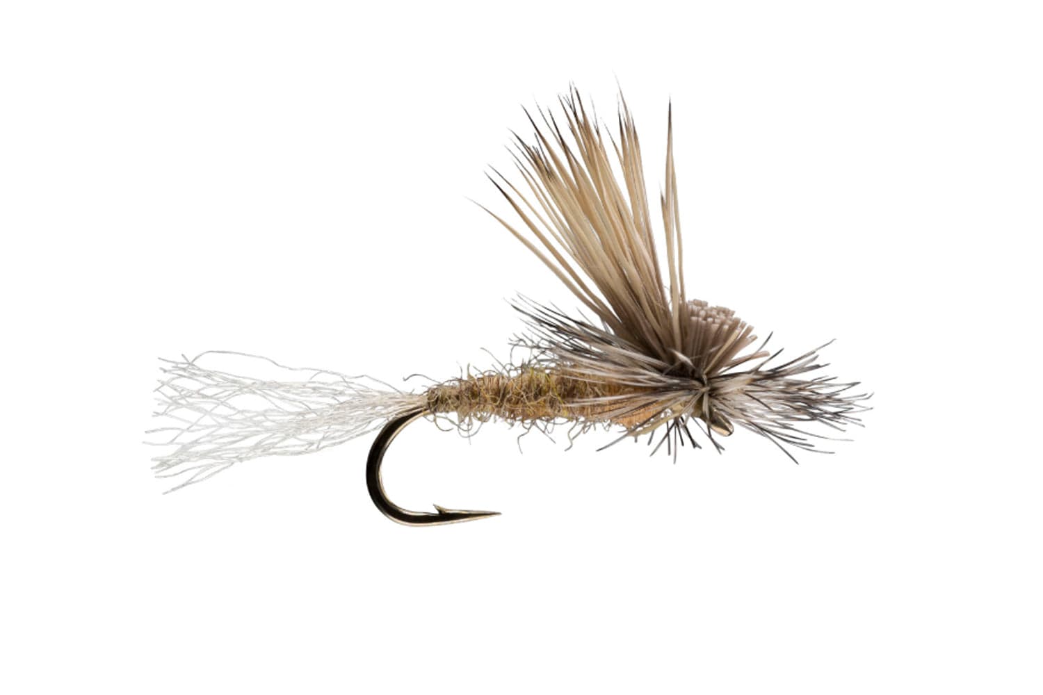 E/C Caddis