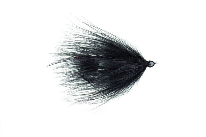 Galloup's Conehead T & A Leech