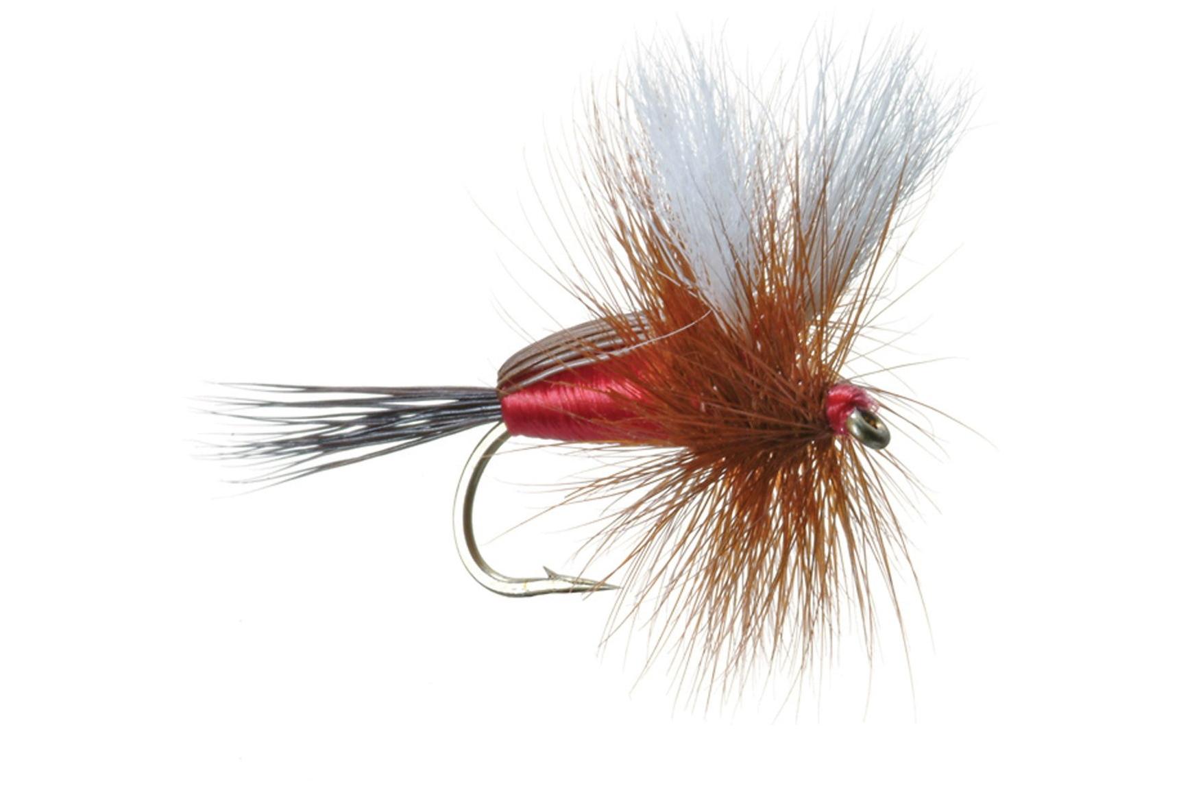 Humpy Dry