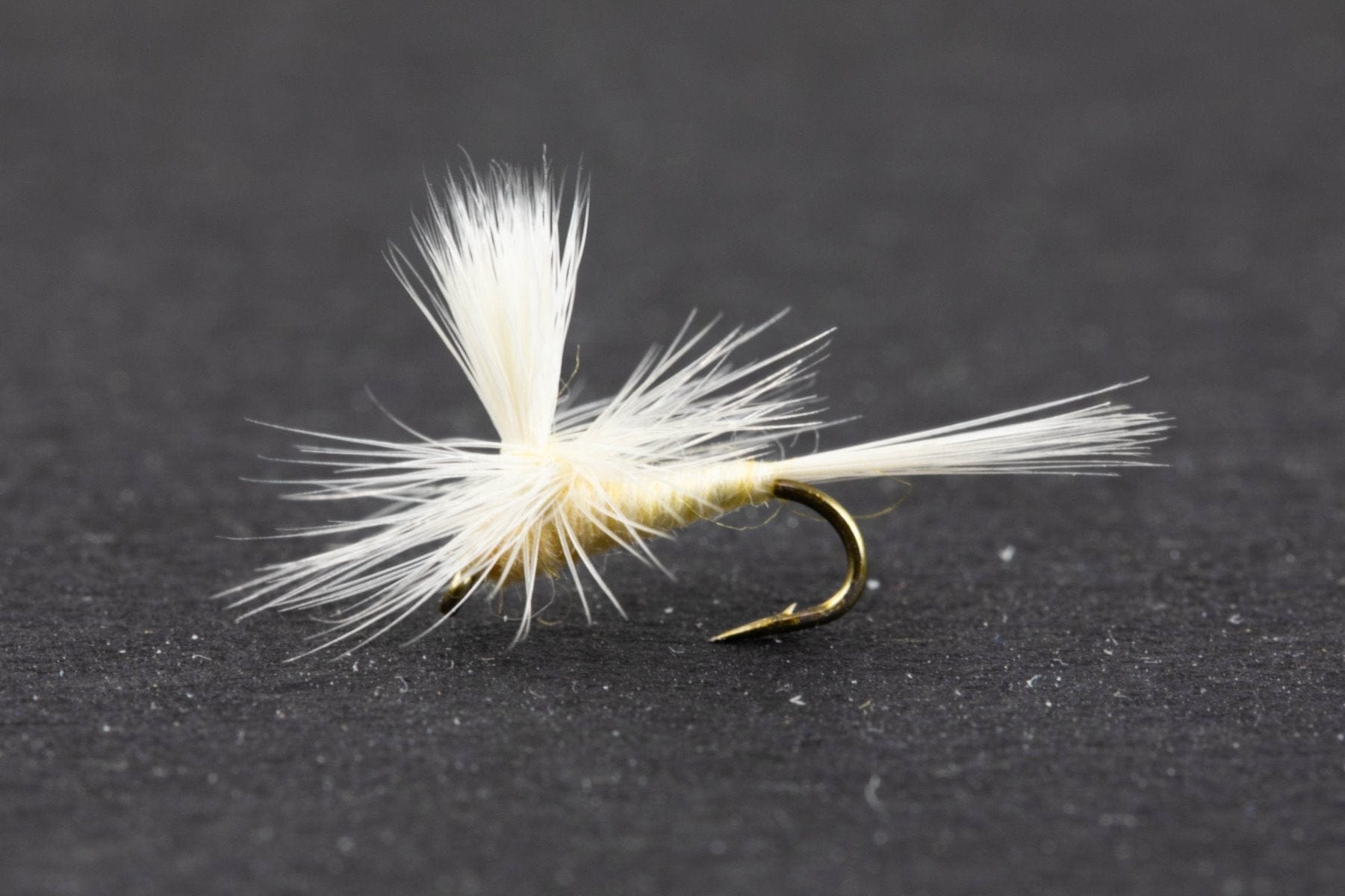 Parachute Cahill Dry