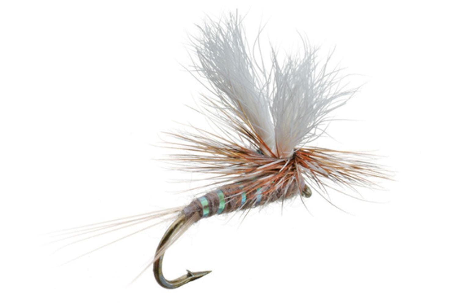 Parawulff Dry