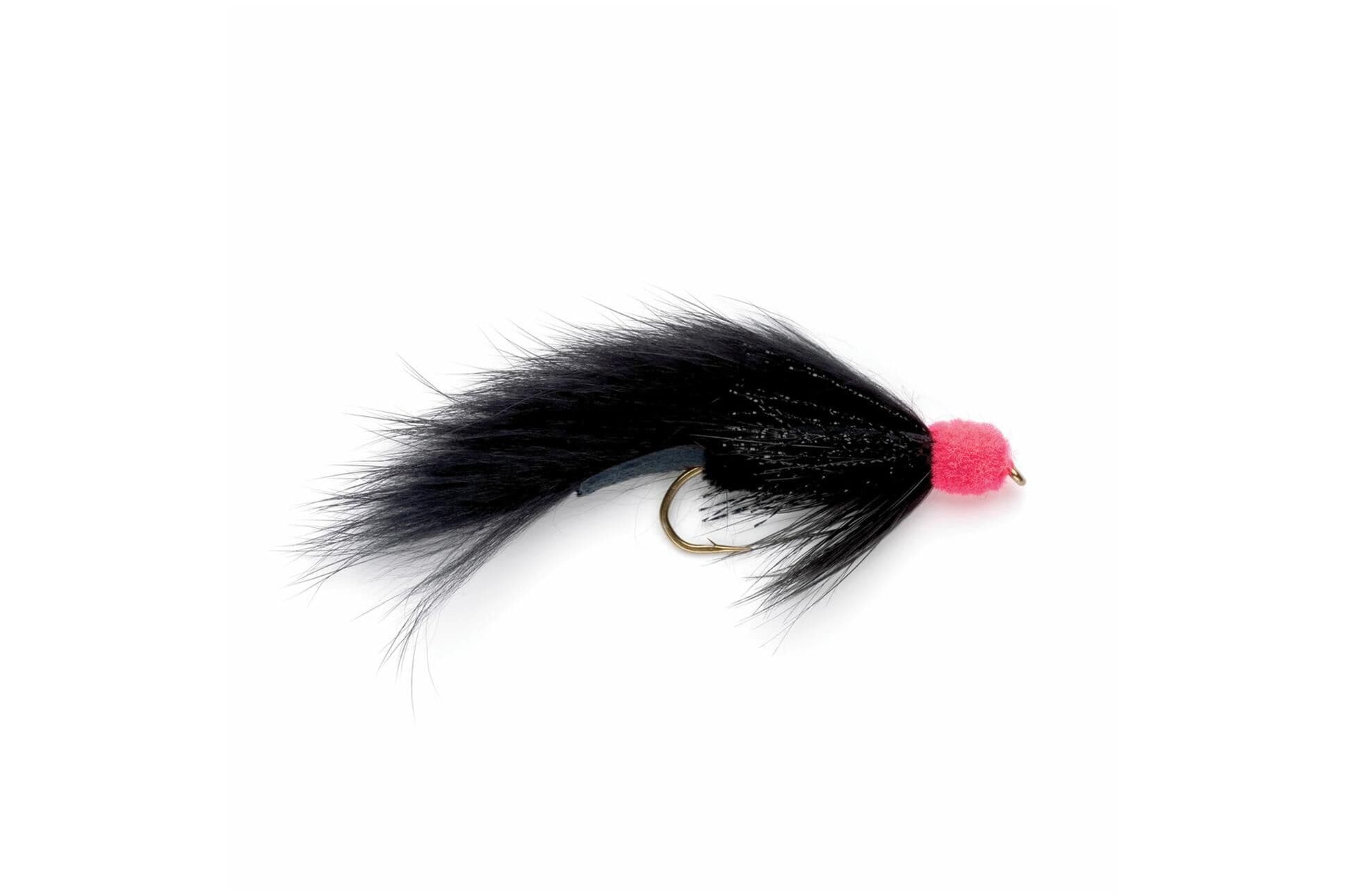 Egg Sucking Leech
