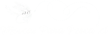 Logo Moscas Para Pesca